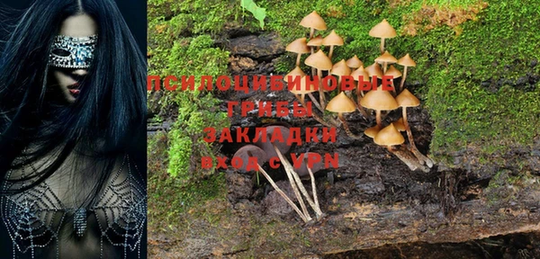 твердый Заволжье