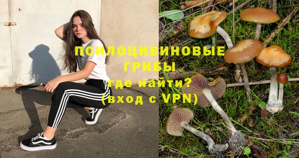 твердый Заволжье
