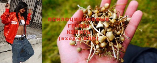 твердый Заволжье